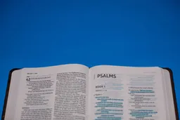 Wie die Psalmen mein Leben verändern 