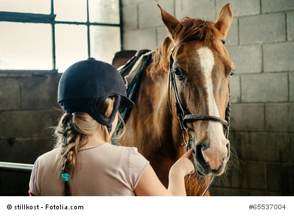 Was ich von Pferden und meinen Töchtern lernen kann